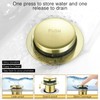 Bathtub Drain Tip-Toe Tub Trim Set with Two-Hole Overflow Faceplate,