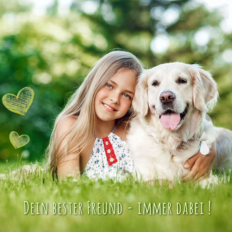 MONKIMAU Dog Collar Braided Genuine Leather Adjustable Length 45-53 cm