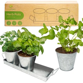 Herb Planter Indoor | Grow Fresh Herbs At Home | Galvanized Herb Pots for Kitchen & Windowsill | Kitchen Herb Garden | Indoor Herb Planter | Garden Pots for Growing Basil, Mint, Parsley and More