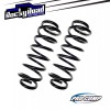 Pro Comp 2.5” Lift Rear Coil Springs (2) For 2007-2018