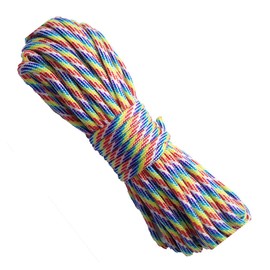 Pmnzdy Paracord 550 4 mm Rope with 7 Strands Paracord Cords Nylon Cord Multifunctional Paracord Ropes Parachute Cord Tent Rope for Bracelet, Dog Lead, Camping, Survival 15 m Rainbow