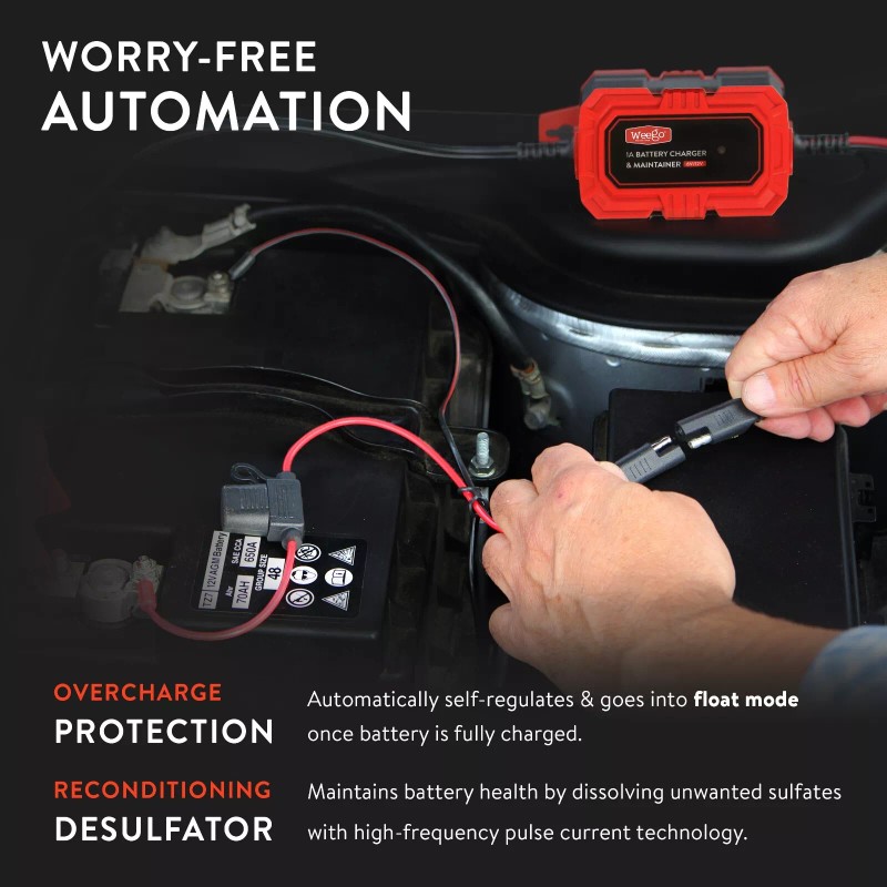 Weego 1A Battery Maintainer/Tri