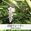 Natural Cosmetics Research Institute 100% Solution Moonpeach Water Floral Water