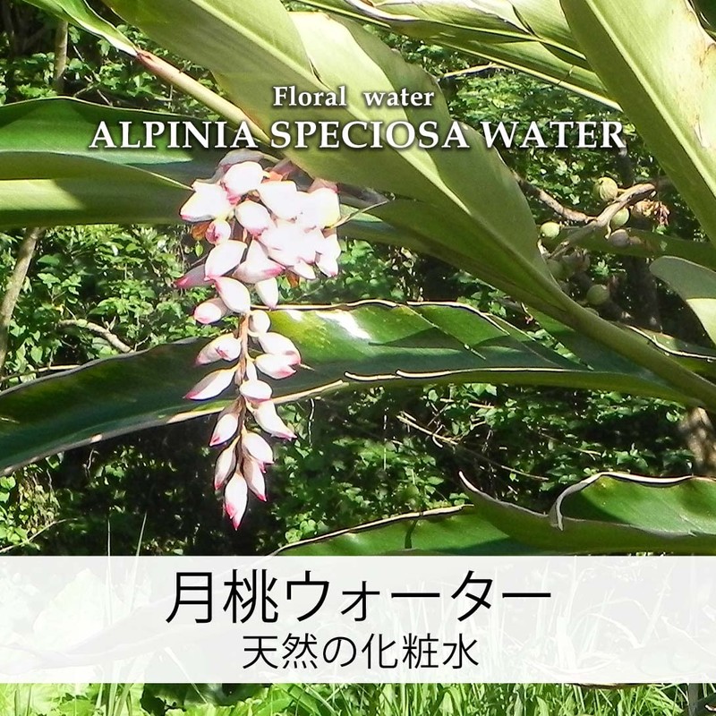 Natural Cosmetics Research Institute 100% Solution Moonpeach Water Floral Water