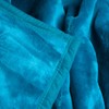 Lavish Home Solid Soft Heavy Thick Plush Mink Blanket 8