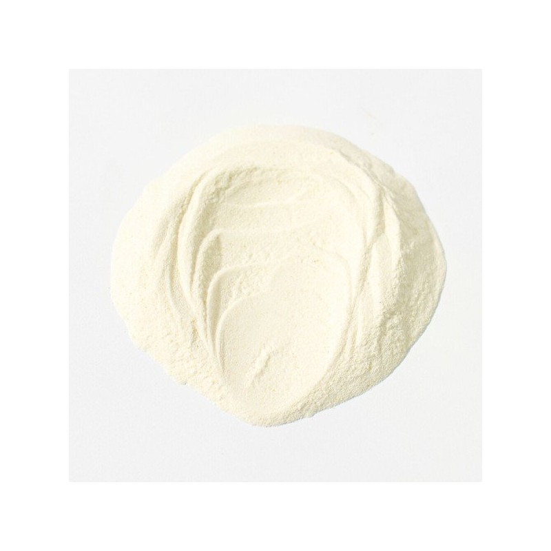 보스웰리아추출물분말 250g Boswellia Extract Powder 250g