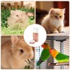Pack of 2 Automatic Drinking Bottle Rabbit, 600 ml Hanging