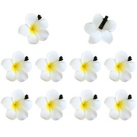 YANYULI Plumeria Hair Clips, Pack of 10, Hibiscus, Hair Ornaments, Hawaiian Flowers, Artificial Flowers, Kimono, For Travel, Beach, Weddings, Photography