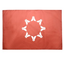 Oglala Sioux Tribe Flag 3' x 5' for a pole - Oglala Lakota flags 90 x 150 cm - Banner 3x5 ft with hole - AZ FLAG