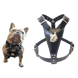 Beautiful Black Leather Dog Harness Medium Size with French Bulldog Head Motif only for Fully Grown French Bulldogs