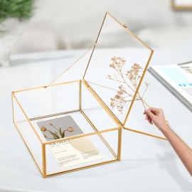 Hanna Roberts Glass Gold Metal with Chain and Velvet Bottom Jewelry Organizer Box | Double Glass Frame for Pressed Flowers