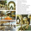 6PCS Gold Braided Rope - 5FT Elegant Rope for Stanchion