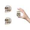 READAEER Resin Skull Decor 2 pcs/Set