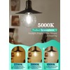 OMAYKEY 12W Dimmable Large LED Globe Bulb 100W Equivalent 1000