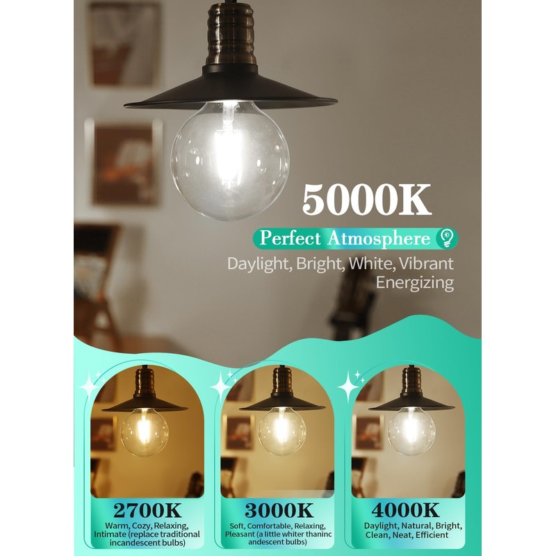 OMAYKEY 12W Dimmable Large LED Globe Bulb 100W Equivalent 1000