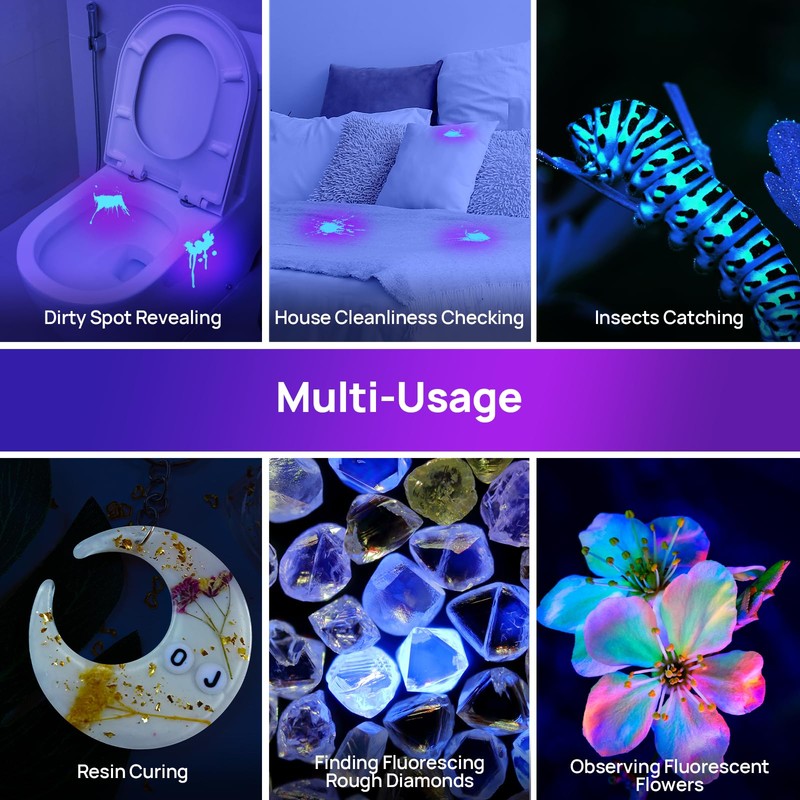 Consciot 2 Pack UV Flashlight Black Light, 12 LED 395nm