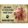 Metal Sign 20 x 30 cm Ein Haus ist kein