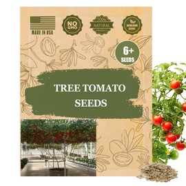 Tree Tomato Seeds for Planting – 6+ Heirloom, Non-GMO - Sweet-Tangy Exotic Fruit, Fast-Growing Patio Tree - Easy Germination
