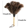 Ostrich Feather Duster 35 cm Ostrich Duster with Wooden Handle
