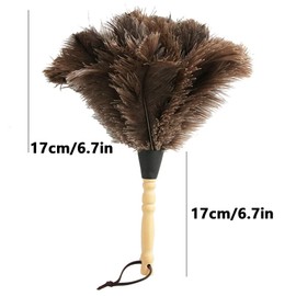 Ostrich Feather Duster 35 cm Ostrich Duster with Wooden Handle Ostrich Feather Duster for Room, Living Room, Bookshelf