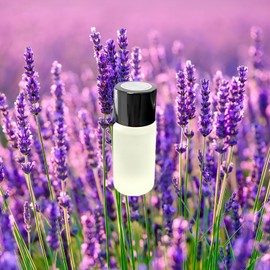 Car Air Freshener Refills – Set of 5 (10 ml each), Universal Fit for Air Vent Smart Car Fresheners, Refreshing and Pleasant Scent (Lavender)