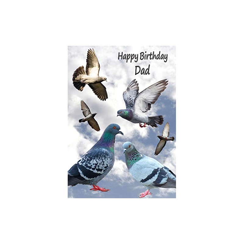 Racing Homing Pigeon Dad Birthday Card