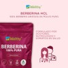 Wellthy Berberina Pura Cápsulas 100 Berberis Aristata 500mg Dias Consumo