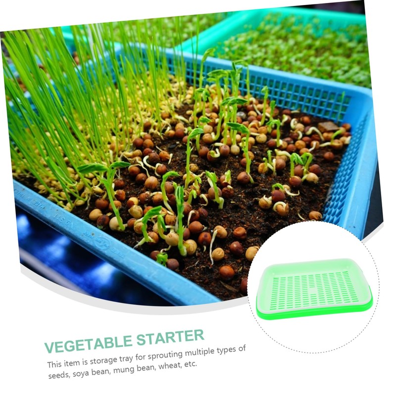 Kisangel 1set Multi-Functional Sprout Trays Wheatgrass Storage Trays Vegetable Starter