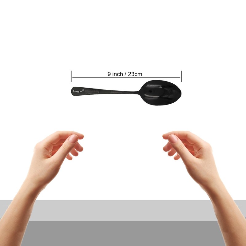 Bonigour 9" Culinary Solid Bowl,18-8 Stainless Steel Plating Spoon (Black,