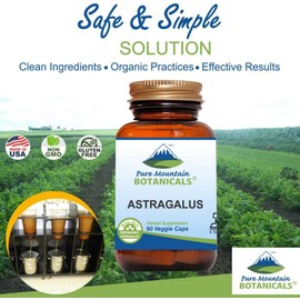 Astragalus Root Capsules - 90 Kosher Vegan Caps with 470mg Organic Astragalus