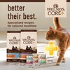 Wellness CORE+ Digestive Health Grain-Free Natural Wet Cat Food, Sensitive