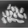 Kingsie Natural Feather 100-Piece Set Feather Shower Handicraft Material Wedding
