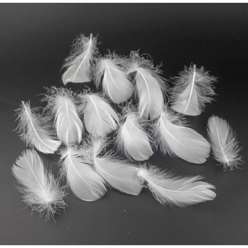 Kingsie Natural Feather 100-Piece Set Feather Shower Handicraft Material Wedding