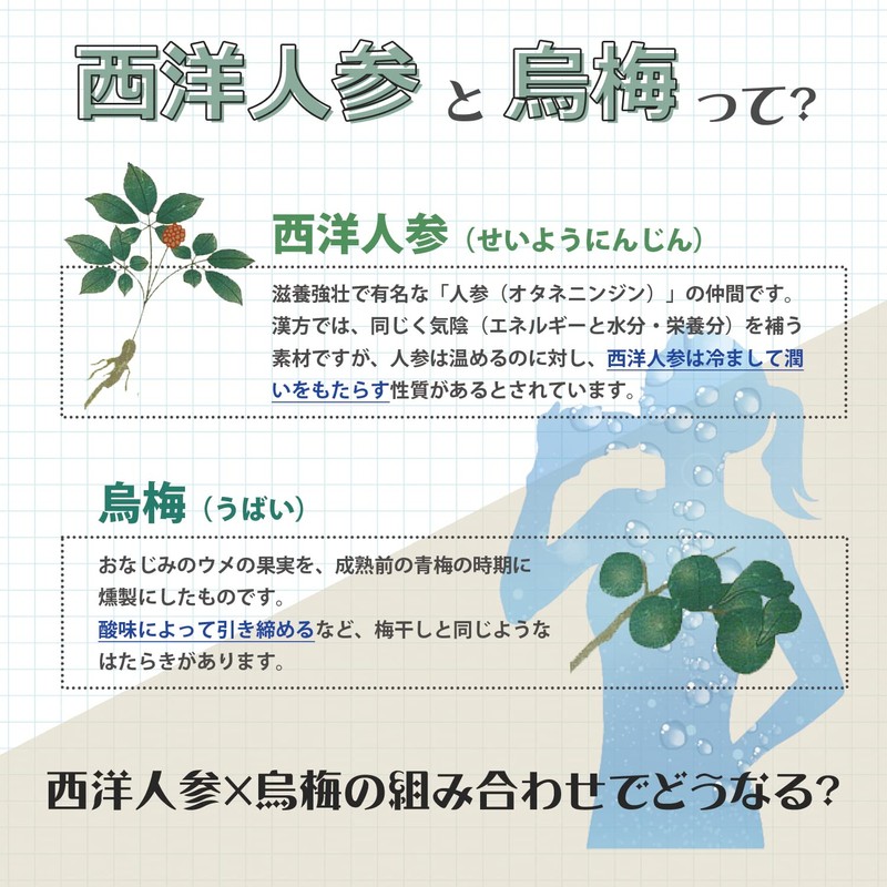 【涼活応援サプリ】松浦薬業 西洋人参烏梅 30袋 15~30日分[溶かしやすい粉末 サプリ 汗をかくシーンに 夏バテ クールダウン 潤い&元気チャージ]