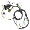 Caltric Complete Wiring Wire Harness fits Honda TRX400EX Sportrax 400