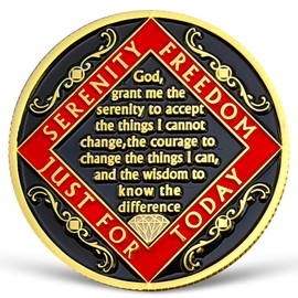 Phoenix 11 Year NA Medallion Just for Today Recovery Chip with Serenity Prayer NA AA Sobriety Coin Eleven Year Narcotics Anonymous Gifts for Men Women Celebrating Clean and Sober Living