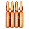 Loción Nutritiva Para Cuero Cabelludo Terramar, 4 Ampolletas