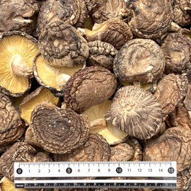 (Commercial Use) Sugimoto Shoten Kyushu Shiitake Mushroom Thin Leaves Middle Leaf 10.6 oz (300 g)