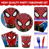 Spider Theme Birthday Party Decorations Kids Paper Plates Napkins Cup