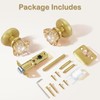 SHINY HANDLES Champagne Glass Crystal Door Knobs Interior,Passage Satin Brass/Brushed
