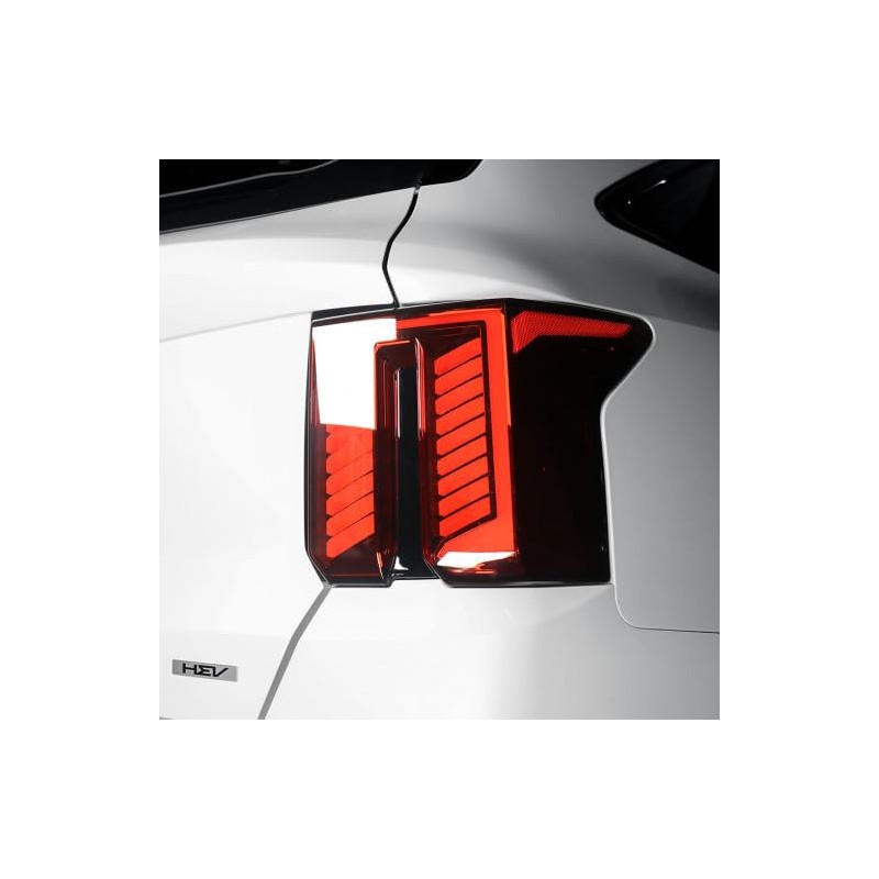 YOUTOOCAR Glossy Black Car Tail Light Cover Trim Compatible with