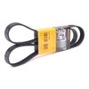 CONTITECH 6PK1390 V-Ribbed Belt