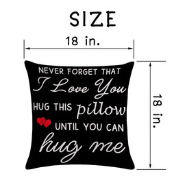 AliCarr Never Forget that I Love You Throw Pillow Cover, to My Love Gifts for Him Her Wife Husband Birthday Anniversary, Cushion Case Decoration for Sofa Couch Bedroom 18x18 Inches (n Forget b)