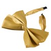Tigerdoe Brown Top Hat and Bow Tie with Walking Scepter-