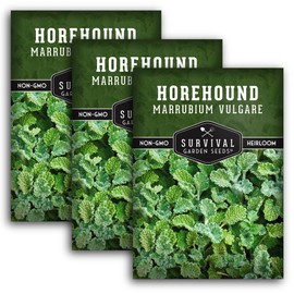 Horehound Seed for Planting - 3 Packets with Instructions to Plant and Grow Beneficial Marrubium Medicinal Herbs in Your Home Vegetable Garden - Non-GMO Heirloom Variety - Survival Garden Seeds