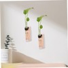 Alipis Decorative Wall Hanging Propagation Stations 2 Sets of Test