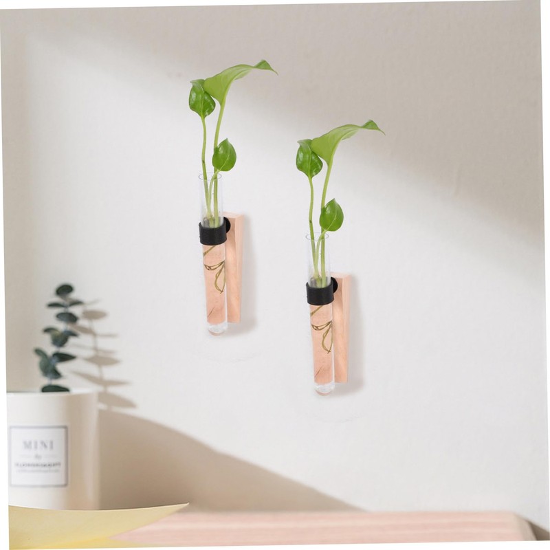 Alipis Decorative Wall Hanging Propagation Stations 2 Sets of Test