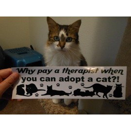 Why pay a therapist when you can adopt a cat? 3x10 Bumper Sticker Decal BlackCat