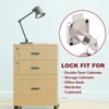 Naissian Cabinet Locks with Keys, Home Desk Lock for Drawer