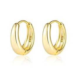 ALEXCRAFT Hoop Earrings 925 Silver for Women Earrings Small Huggie Hypoallergenic Earrings, Silver, No Gemstone